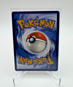 Pokemon TCG Poochyena GG33/GG70 Crown Zenith: Galarian Gallery Holo - Image 2