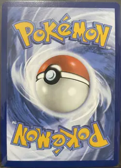 Mega Kangaskhan EX 104 /132 ME01: Mega Evolution Illustration Rare Pokemon Card - Image 2