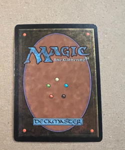 Swamp - Beta - MTG - Magic the Gathering - Image 3