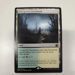 Overgrown Farmland #265- MTG Innistrad: Midnight Hunt NM - Image 1