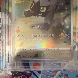 Pokemon Poochyena Art Rare Holo 208/172 S12a VSTAR Universe Beckett 10 Japanese - Image 3