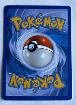 RAIKOU #16/132 • 2007 Holo Secret Wonders Diamond & Pearl Cracked Ice Holo ✨ - Image 2