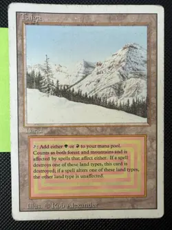 MTG Taiga Revised Dual Land (MP) Magic The Gathering Vintage RL Rare 🔥 See Pics - Image 1