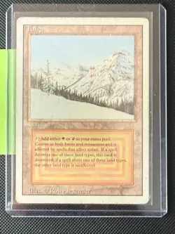MTG Taiga Revised Dual Land (MP) Magic The Gathering Vintage RL Rare 🔥 See Pics - Image 2