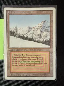 MTG Taiga Revised Dual Land (MP) Magic The Gathering Vintage RL Rare 🔥 See Pics - Image 3