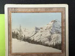 MTG Taiga Revised Dual Land (MP) Magic The Gathering Vintage RL Rare 🔥 See Pics - Image 4