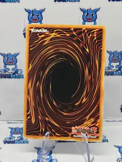 Toon Alligator - 1st - SS01-ENC02 - NM - Common Yu-Gi-Oh! - Image 3
