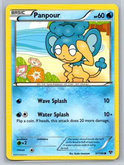 Panpour #37/146 XY Base Set Common - Pokemon Cards E12 - Image 1