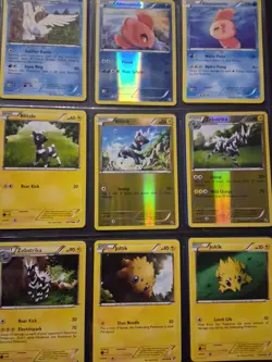 2011 Pokemon Black & White Base Set Lot 98% Complete Main Set - 27 Reverses - NM - Image 5