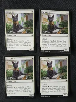 SACRED CAT X 4 (PLAYSET) Amonkhet MTG White Creature (C) NM - Image 1