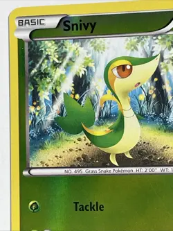 Pokemon Black & White - Snivy - Reverse Holo - Common - 1/114 - Image 2
