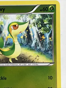 Pokemon Black & White - Snivy - Reverse Holo - Common - 1/114 - Image 3