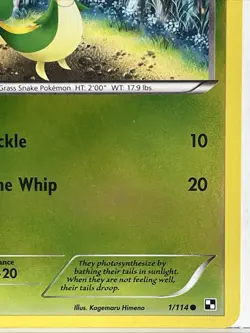 Pokemon Black & White - Snivy - Reverse Holo - Common - 1/114 - Image 4