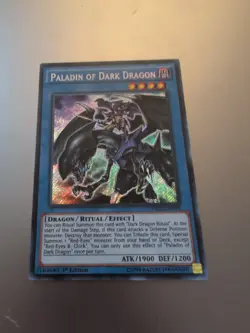 Yugioh Paladin Of Dark Dragon DRL2-EN018 Secret Rare 1st Ed NM - Image 1