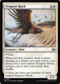 Tempest Hawk 31 -Tarkir: Dragonstorm - NM - Image 1