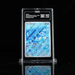 2024 Pokemon - Horsea 067/064 Sv: Shrouded Fable IR - TAG 10 - Image 1