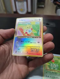 Rainbow Island Southern Island Pokemon Promo Cards Togepi Ivysaur Raticate - Image 5