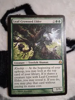 Leaf-Crowned Elder Morningtide Regular - Image 1
