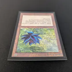 MTG \>> Black Lotus (NM) <<// Collectors' Edition - 341 Trading - Magic - Image 4