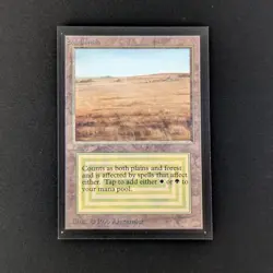 MTG \>> Savannah (NM) <<// Collectors' Edition - 341 Trading - Magic - Image 1