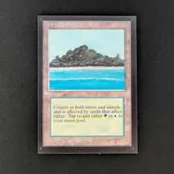 MTG \>> Tropical Island (EX) <<// Collectors' Edition - 341 Trading - Magic - Image 1