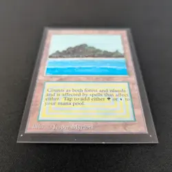 MTG \>> Tropical Island (EX) <<// Collectors' Edition - 341 Trading - Magic - Image 3