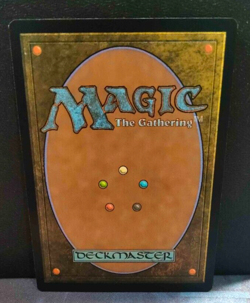 Windswept Heath - Zendikar Rising Expeditions - Mythic - NM - MTG - Image 2