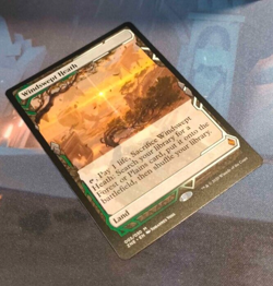 Windswept Heath - Zendikar Rising Expeditions - Mythic - NM - MTG - Image 3