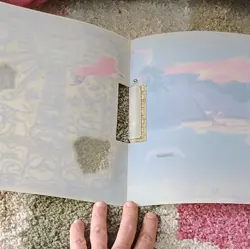 Pokemon Neo Espeon Umbreon Eevee Card Binder EMPTY - Image 2