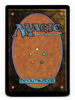 The Eternal Wanderer (Borderless) - [Phyrexia: All Will Be One] MTG Magic - NM ⚪ - Image 2