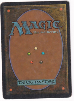 Fylgja Ice Age #26 Magic The Gathering 1995 MTG Single - Image 2