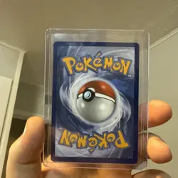 Tyrunt Black Star Promo 070 Pokemon Perfect Order Sealed Well Centered - Image 2