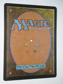 Verduran Enchantress Revised Edition NM Near Mint MTG Magic the Gathering - Image 2