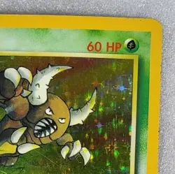 Pinsir 9/64 HP/DMG Jungle WoTC Unlimited Holo Pokemon TCG - Image 4