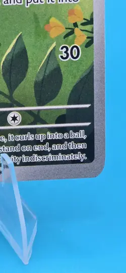 Togedemaru Holo Phantasmal Flames Illustration Rare 104/094 Pokemon TCG - Image 4