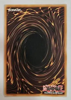 Bramble Rose Dragon - DOOD-EN039 - 1st Edition - Secret Rare - NM - Yugioh - Image 2