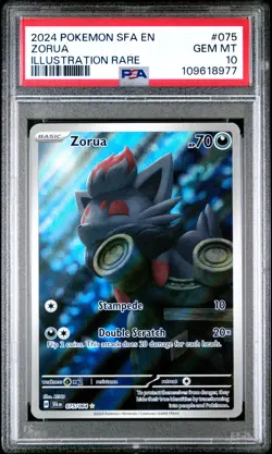 2024 POKEMON SFA EN-SHROUDED FABLE ILLUSTRATION RARE #075 ZORUA PSA 10 - Image 1