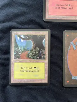 Magic the Gathering All Five Basic Lands ALPHA Never Played - Image 4