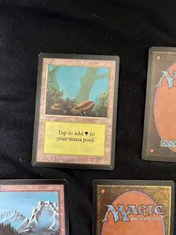 Magic the Gathering All Five Basic Lands BETA Never Played - Image 2