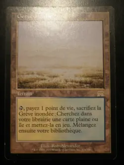 mtg magic flooded strand onslaught FRENCH vf fr greve inondee carnage - Image 1