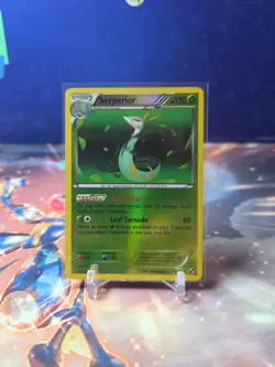 Serperior 6/114 Black White Reverse Holo Pokemon TCG LP - Image 1