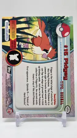 Topps Pokemon TV Animation Edition Pidgey Holo Foil Black Logo - Image 2