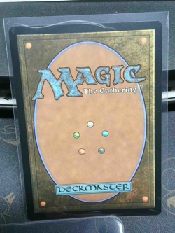 MTG: TMNT - Splinter's Technique (Showcase) Regular R 0233 - Image 2