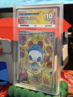 Marill 232/217 Illustration Rare IR Ascended Heroes Ace 10 Pokemon TCG - Image 4