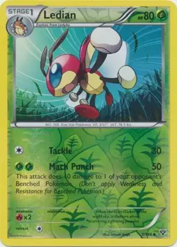 Ledian - 7/146 - Uncommon - Reverse Holo LP, English Pokemon XY Base Set - Image 1