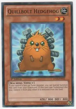 Quillbolt Hedgehog - 5DS3-EN012 - Common - 1st Edition NM Yugioh Starter Deck Ca - Image 1