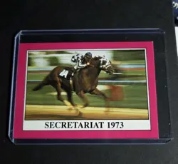 Lot of 10 Horse Star Cards Mint Condition In Sleeves Secretariat, War Admiral - Image 2