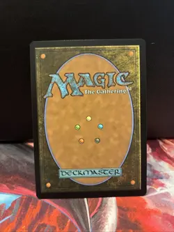 Petrified Hamlet - Foil | Secrets of Strixhaven | NM | MTG - Image 2