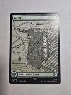 Forest (0280) Universes Beyond: the Lord of the Rings: Tales of Middle-Earth... - Image 1