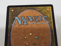 Birds of Paradise x1 MTG Core Set 2010 M10 1x Magic Very Good Light Play VG LP - Image 5